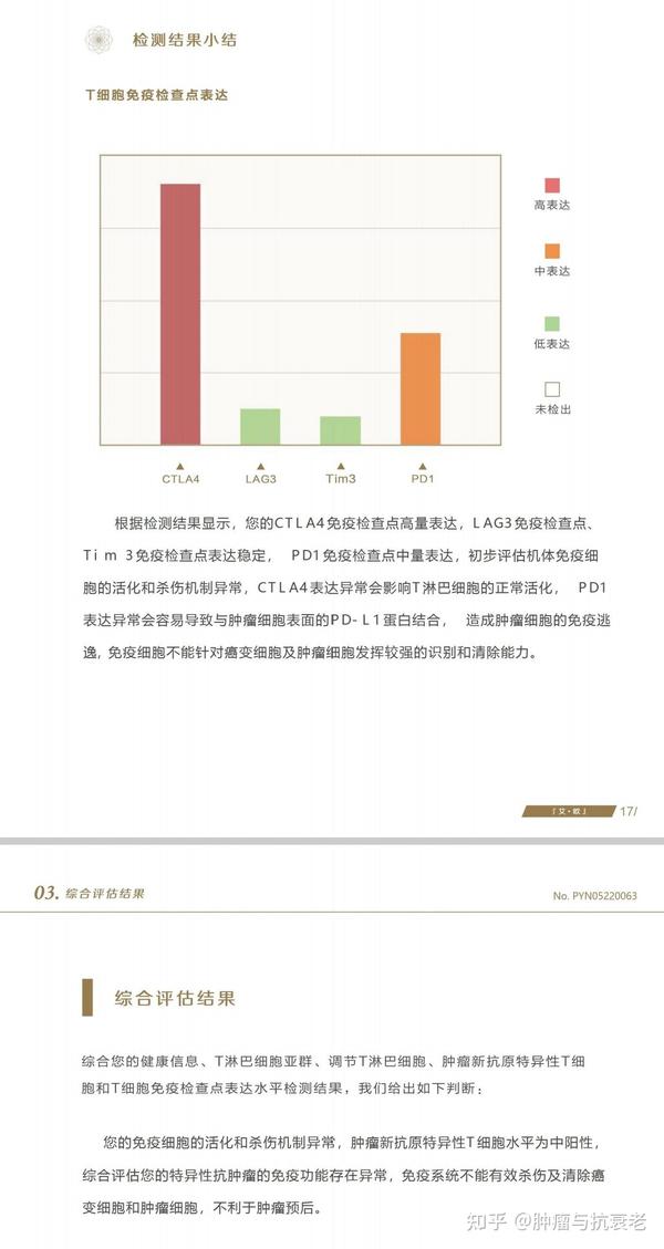 WEB限定】 中国医学的癌治療 医学一般 - csmoda.edu.mx