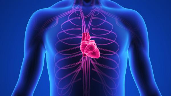 心肌病医生贾江俊:心影增大严重吗