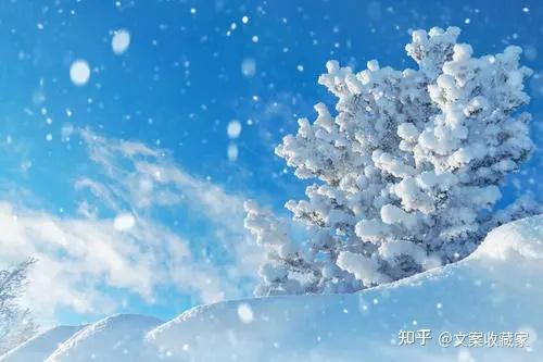 初雪简短文案 知乎