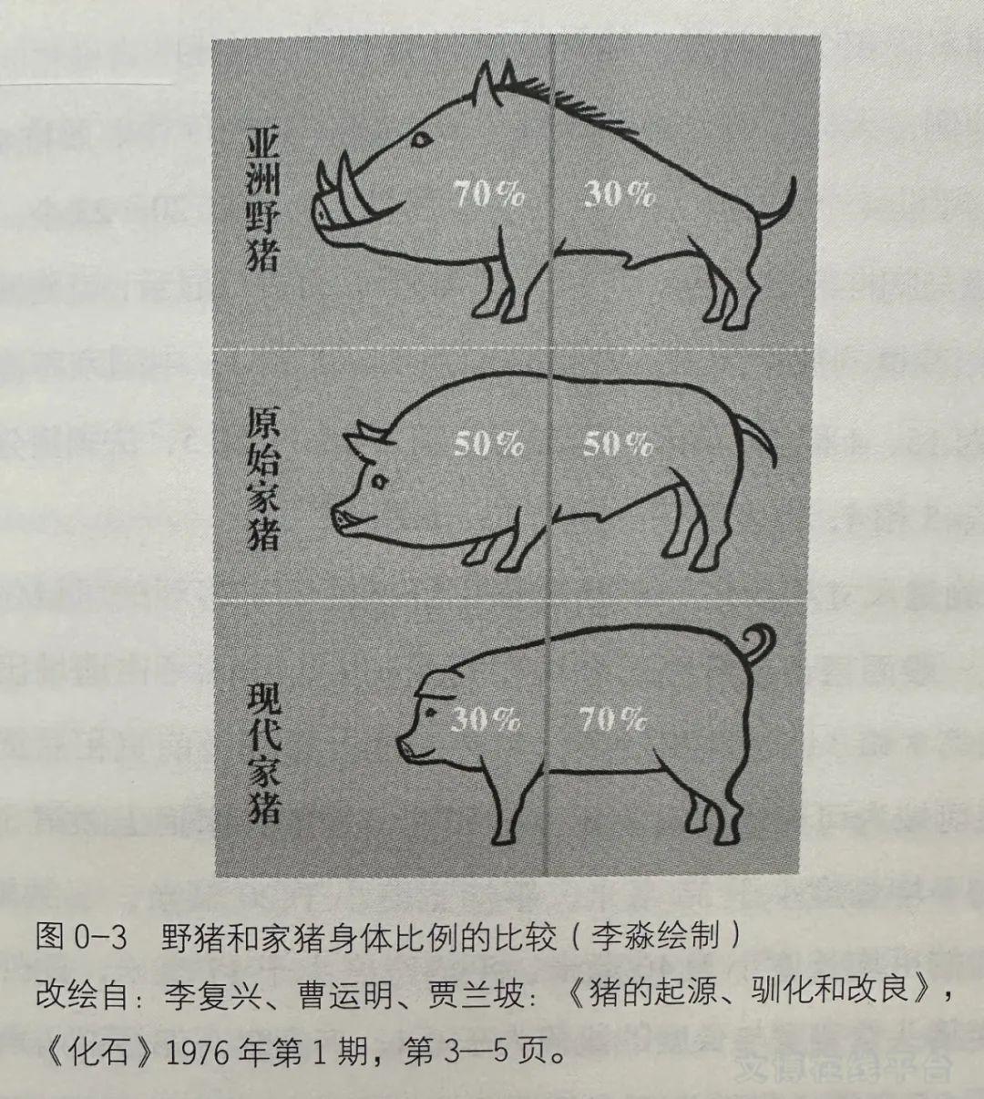 猪是如何从野猪变成家猪的?读大象出版社《有豕白蹢》 - 知乎