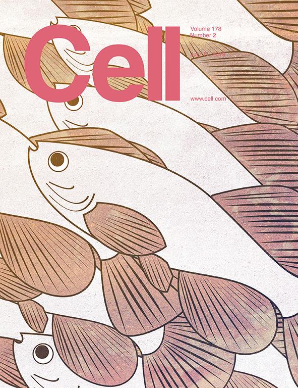 科学与艺术的结合！《CELL》100+张期刊封面鉴赏｜2019年篇 - 知乎