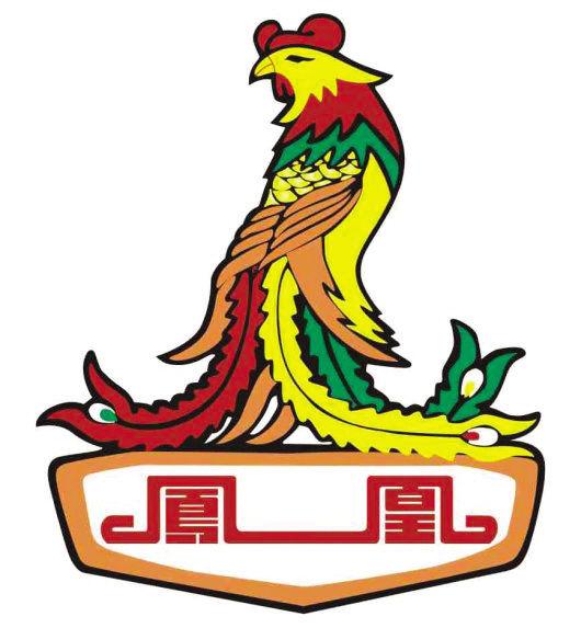 凤凰自行车 | 国货,也可以很酷 - 知乎