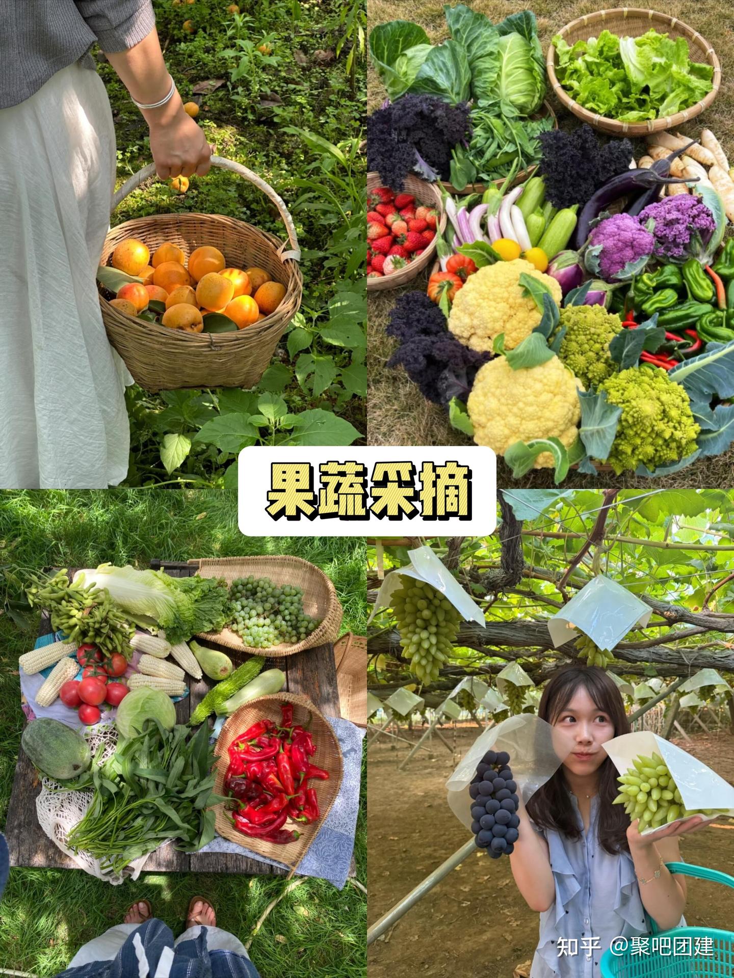 江浙沪团建 10-12 月团建地+活动方案合集|||秋季团建被问爆了! - 知乎