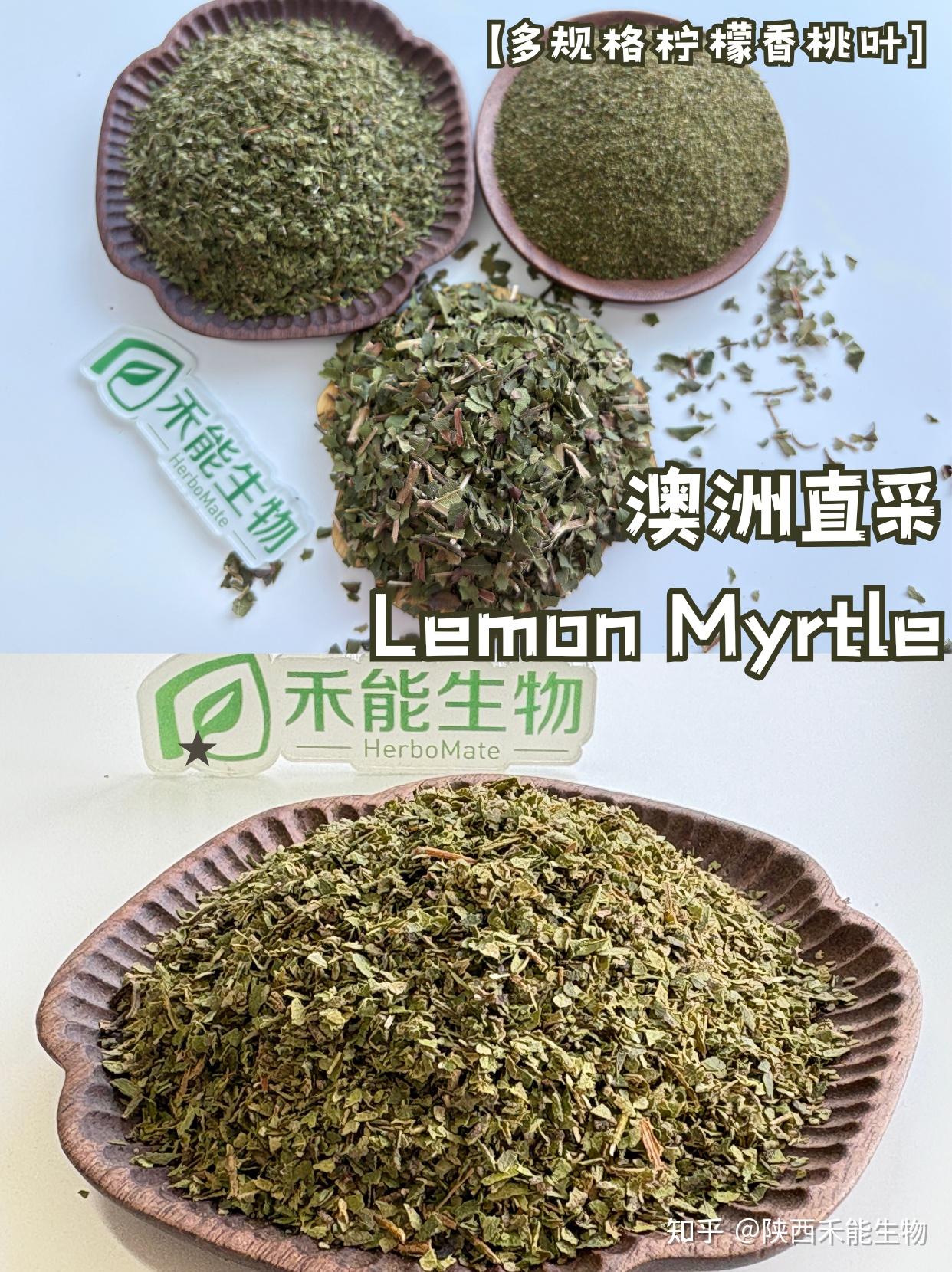 什么是澳大利亚的柠檬香桃叶? - 知乎