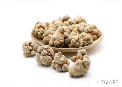 三七的食用禁忌