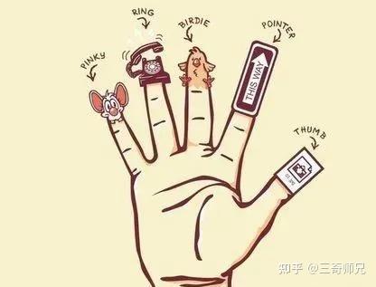 我们的五根手指,分别代表什么? - 知乎