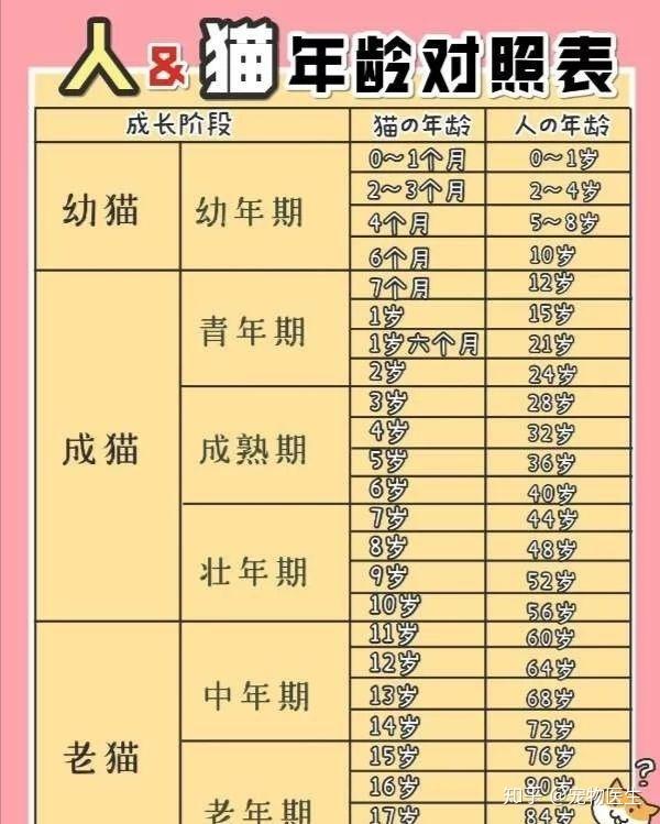 v2-413d1e4b64c25bf5a8013285eac567bb_r.jpg