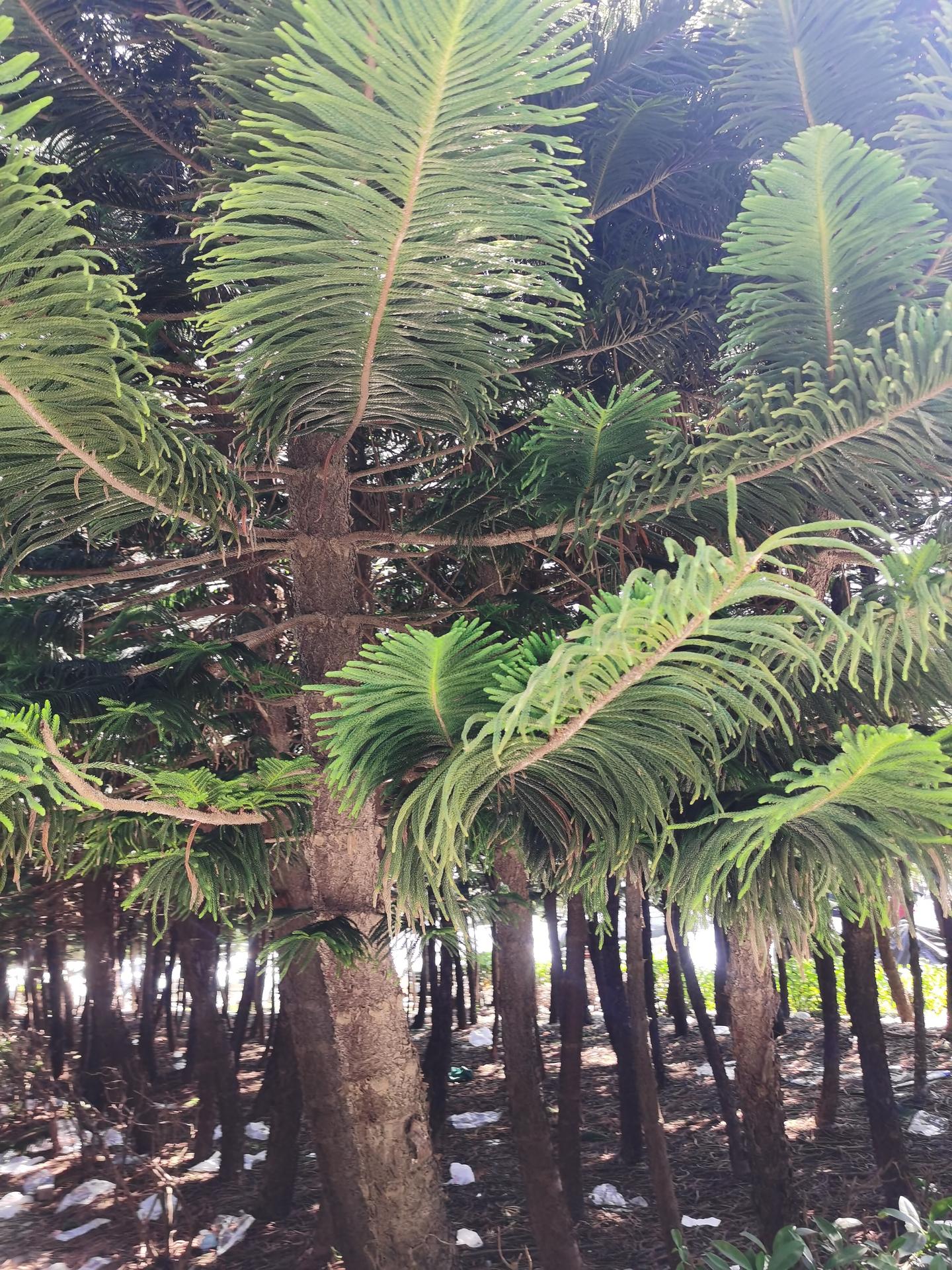 2026年空调选购!空调怎么选择?省电空调有哪些?