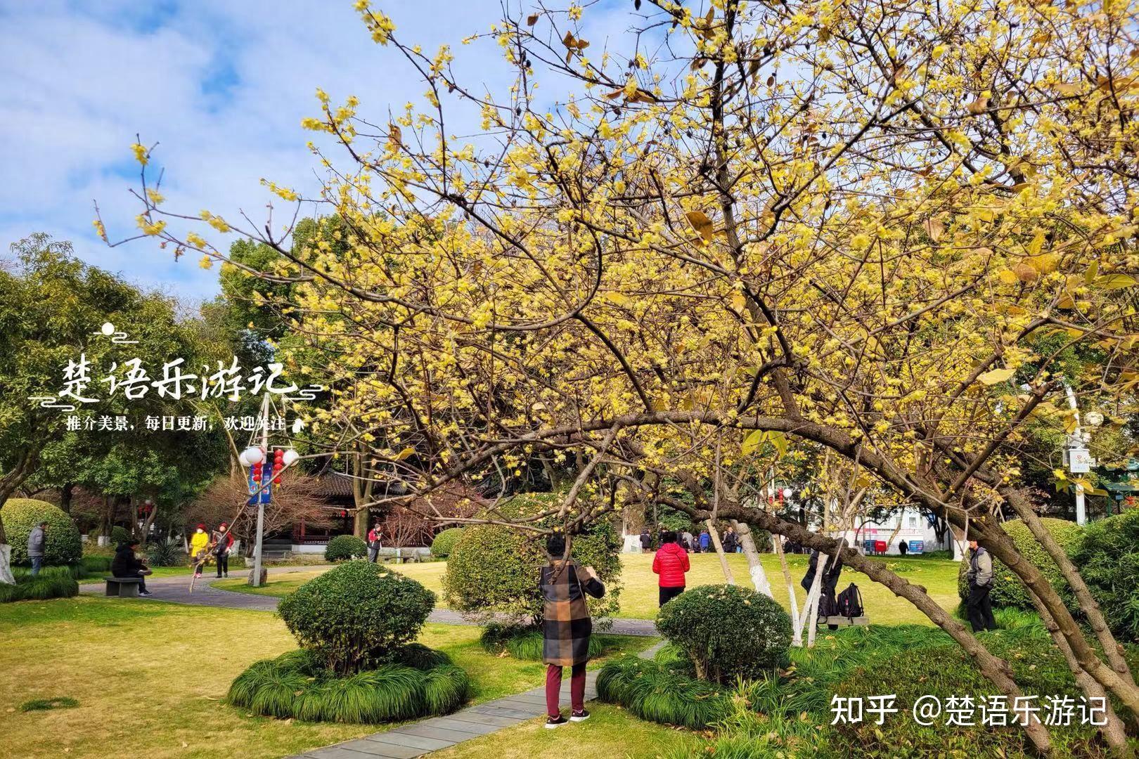 中山公园立体花坛花团锦簇格外美丽