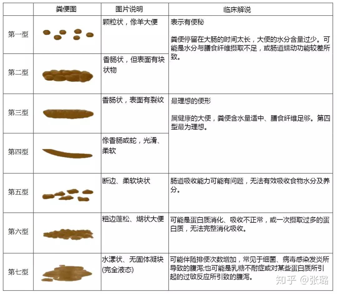 兔子果冻便死亡率图片