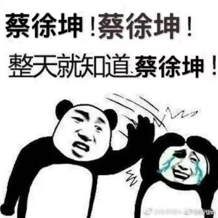蔡徐坤熊猫头打球图片