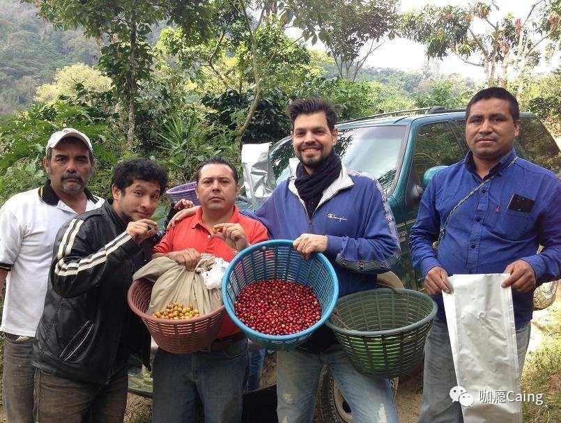 乌干达里的白人2015年11月,乌干达的咖啡豆第一个收获,经过一系列处理