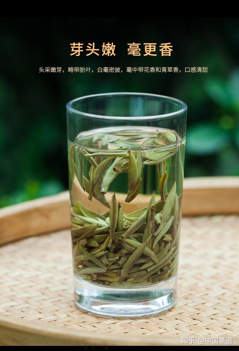 白毫银针属于什么茶白毫银针的功效与作用