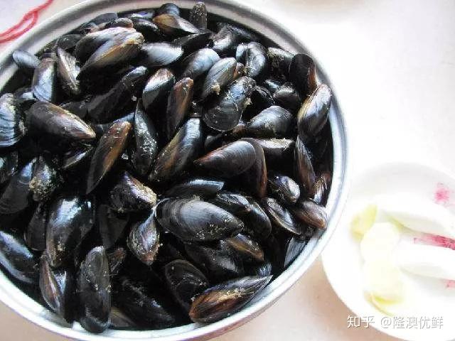 海虹1月~3月/7月~9月肉质超级有嚼劲,劲道港湾扇贝11月~12月去市场最