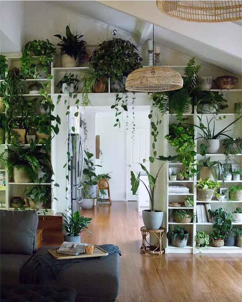家居避暑6款绿植设计，看英国博主打造绿植之家，用了这些植物做布置 - 知乎