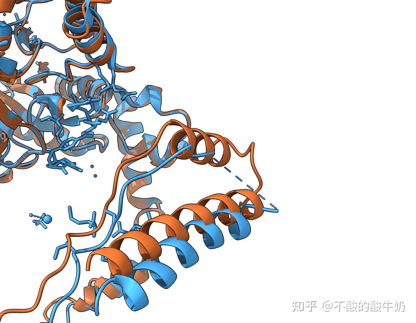 浅谈蛋白质结构解析与预测