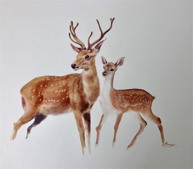 赏析太极拳传人林一蓓趣味水彩画