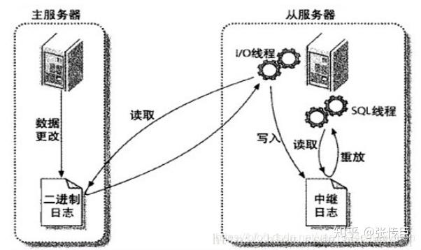 Mysql——主从复制与读写分离 知乎