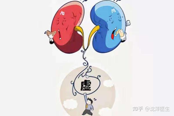 何为肾虚?你了解肾虚吗? - 知乎