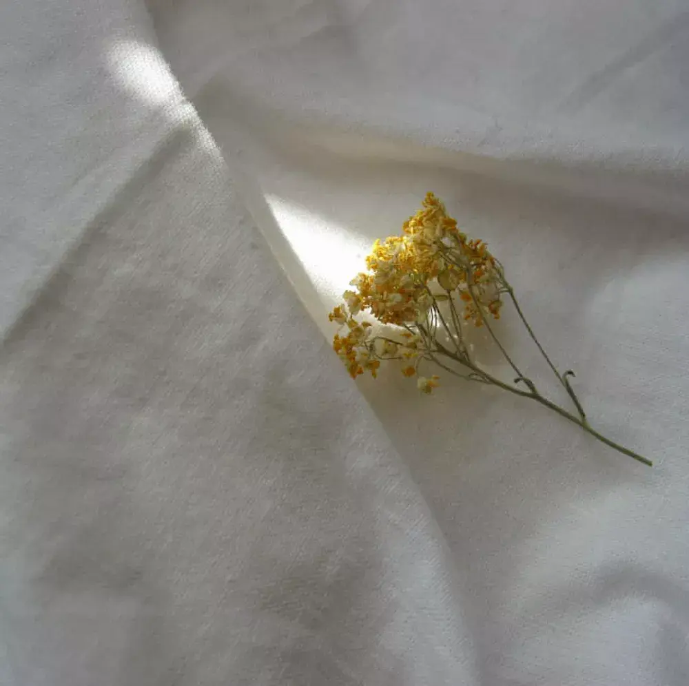 191张好看又简约的qq空间背景图