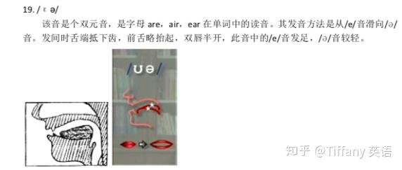 48个国际音标发音舌位图 - 知乎