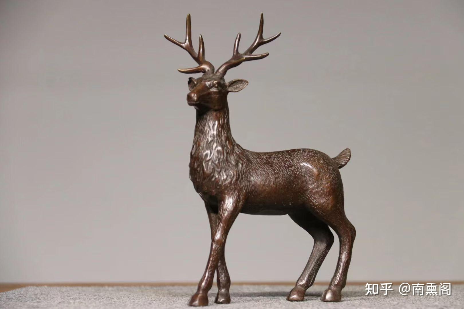 灵鹿- 知乎