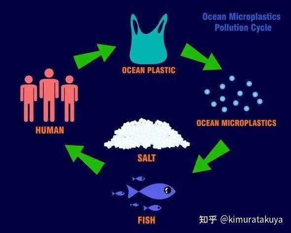 人體已被微塑料汙染