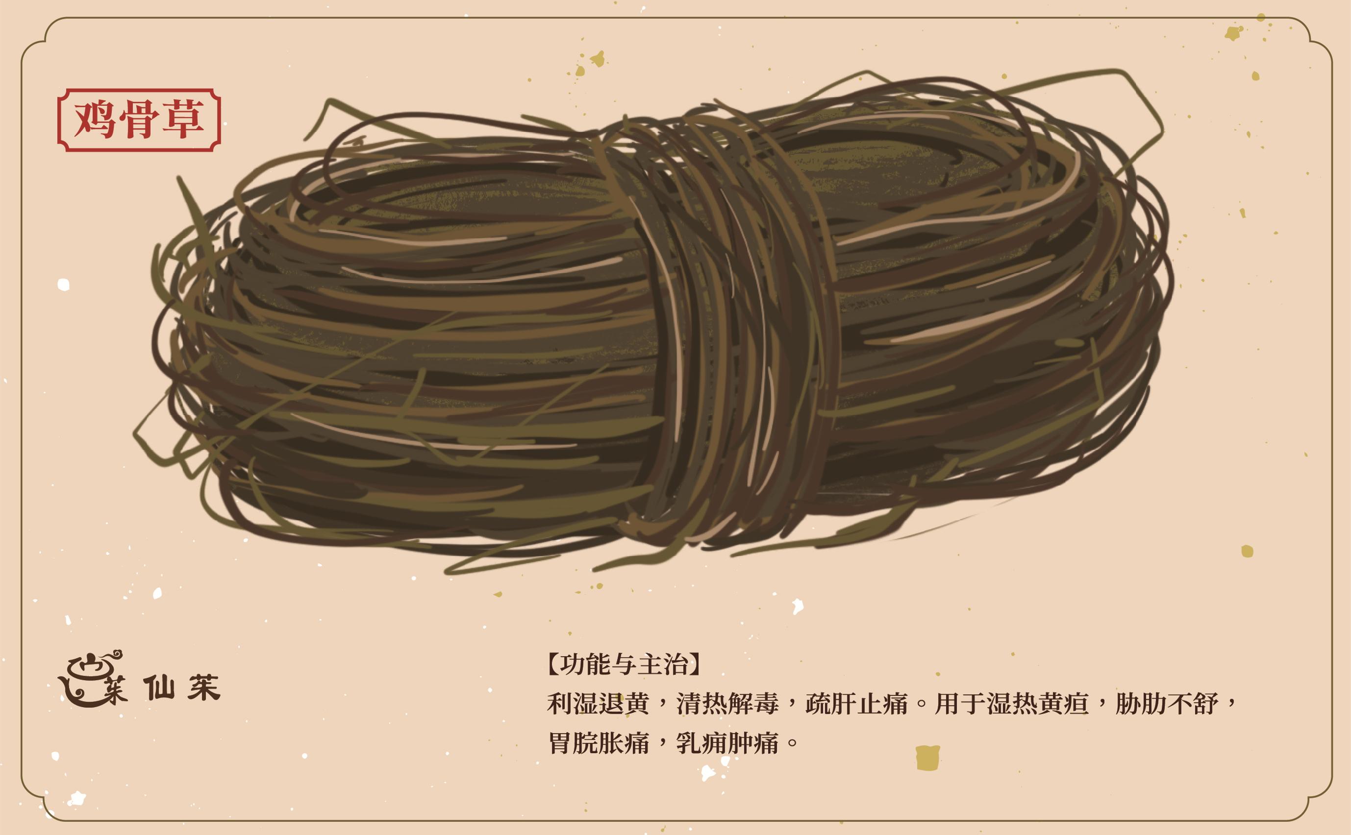 广西道地药材桂十味