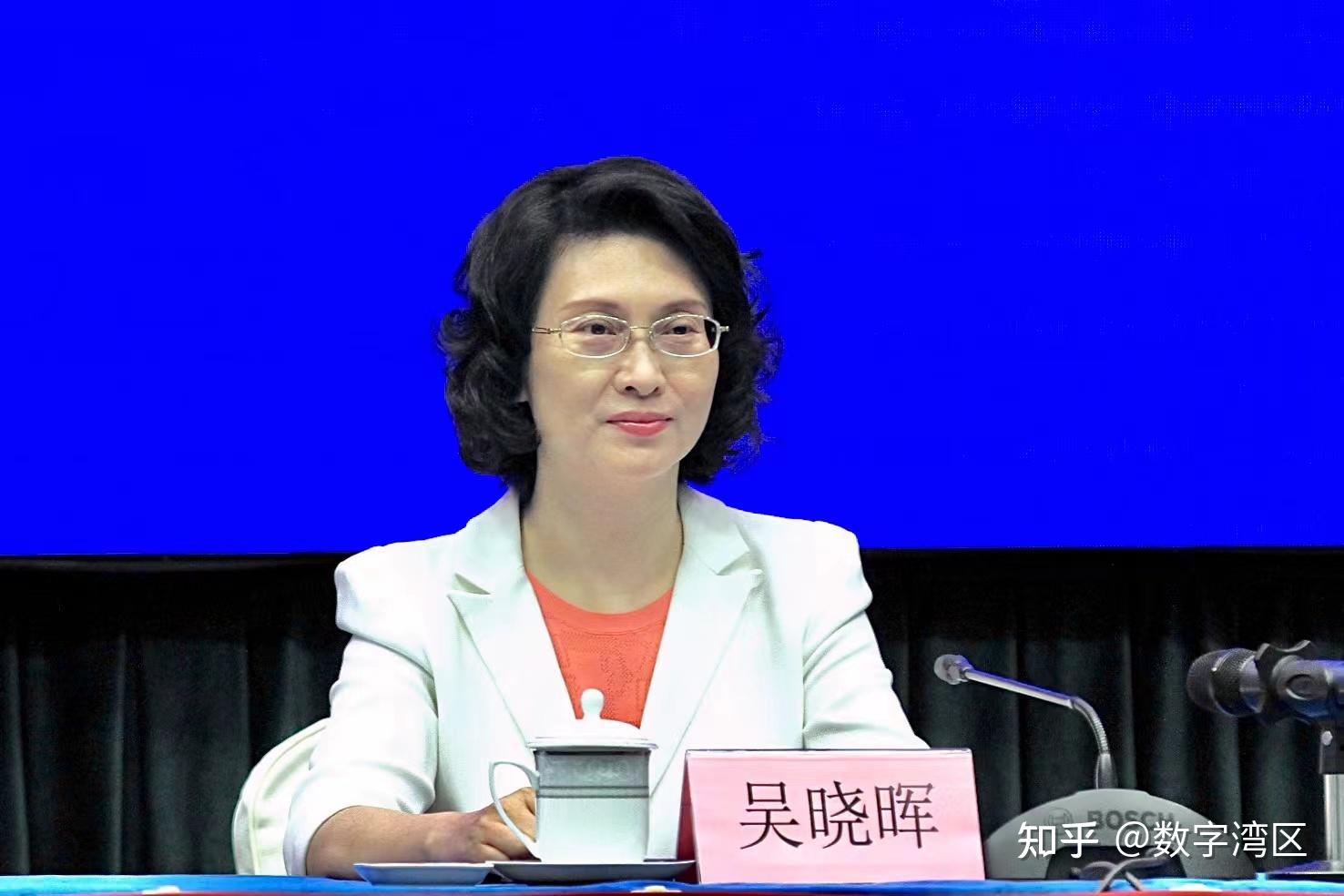 广东政府新闻办举行2023华侨华人粤港澳大湾区大会发布会庞国梅吴晓晖