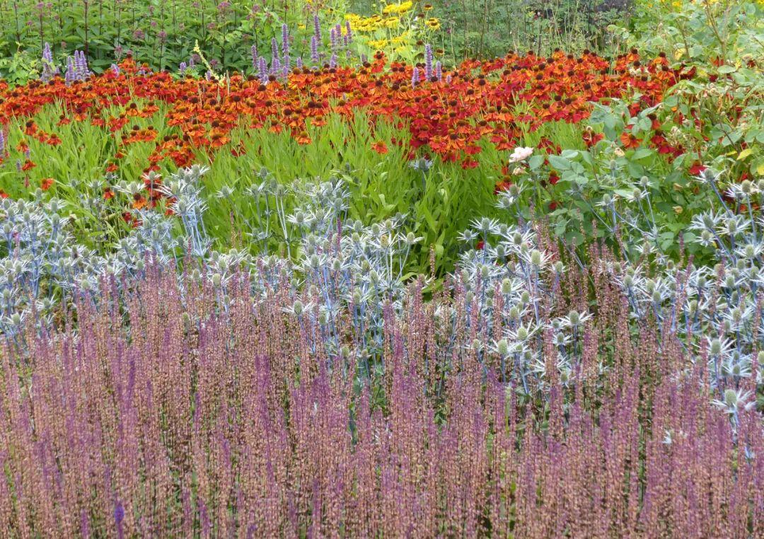 意向图植物花境