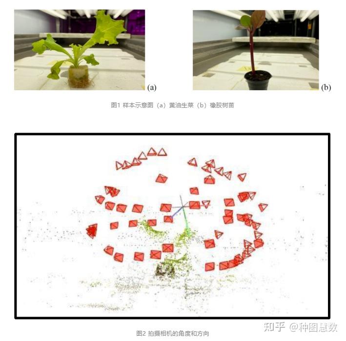 【植物表型技术】智能手机图像结合基于运动的结构重建算法在植物表型研究中的应用 - 知乎