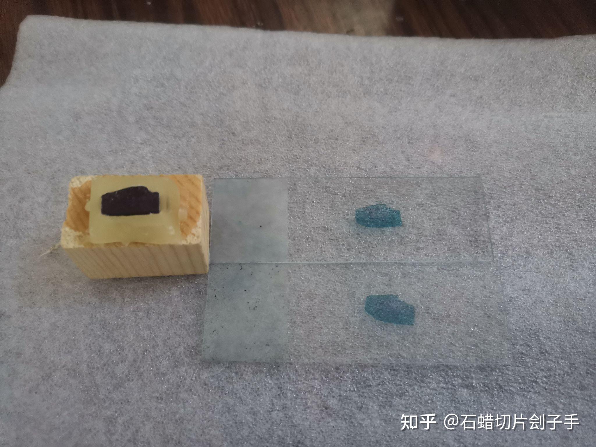 盘点我经手的石蜡切片