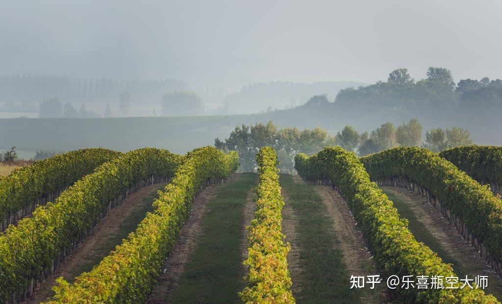 进口红酒法国篇图勒庄红葡萄酒