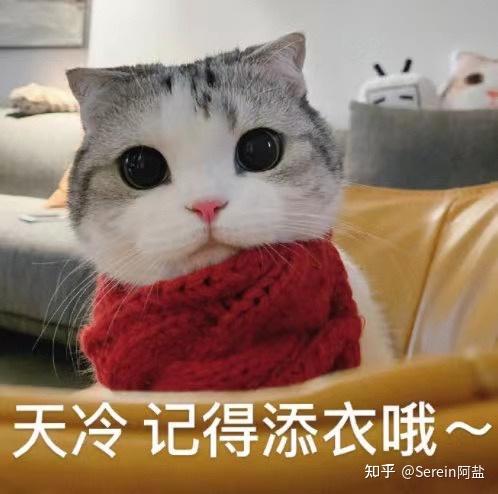 有没有冬天专属的表情包