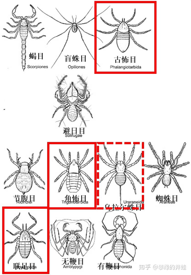 地球演义铁虿狰狞12二叠纪初大灭绝事件