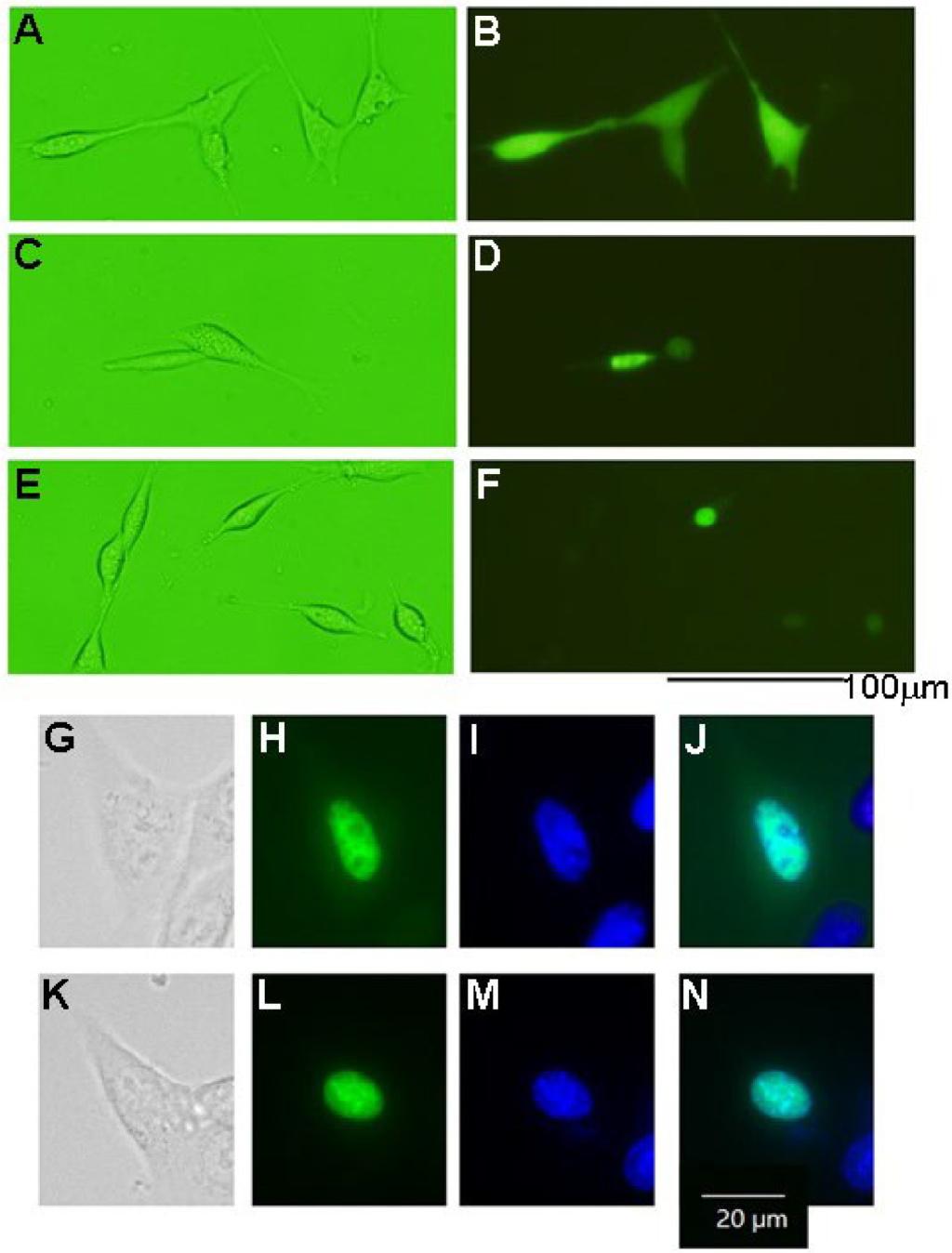  mdpi 