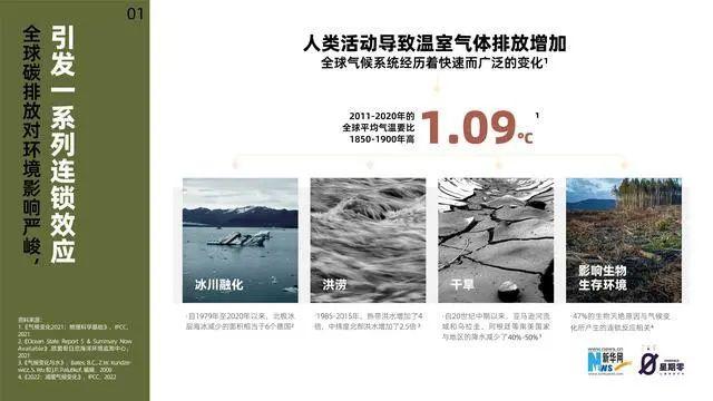 《中国植物肉减碳洞察报告2022》发布 - 知乎