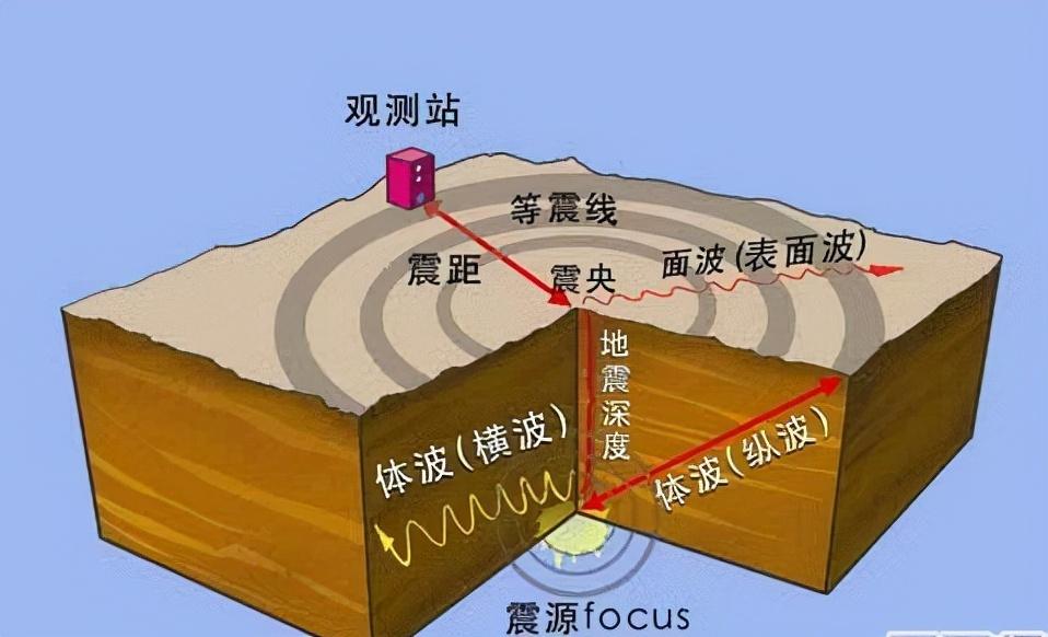 监控发现最先知道地震发生的是鱼,它能感知一种不易察觉的地震波