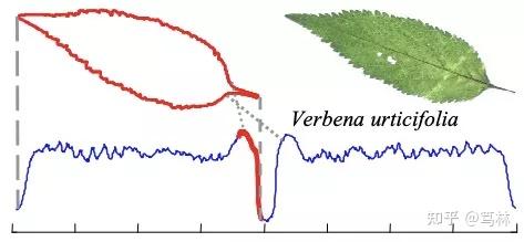 Shapelet : 一种象形化的时间序列特征提取方法 Shapelet : 一种象形化的时间序列特征提取方法