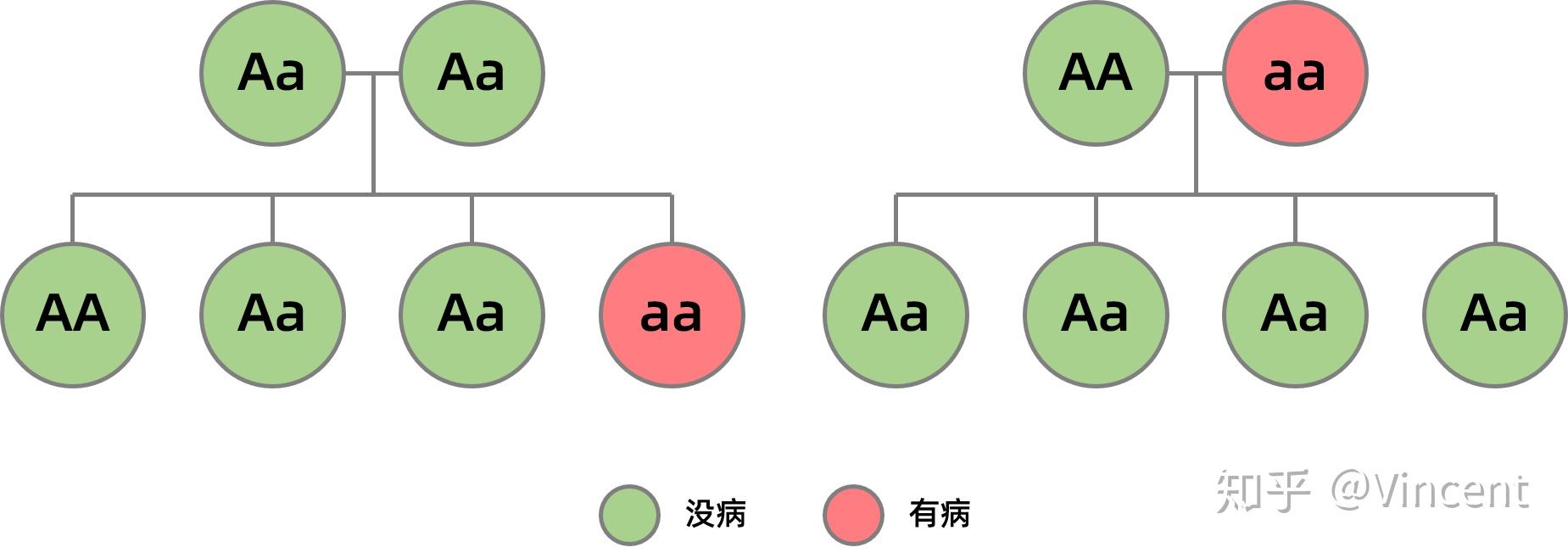 多囊卵巢綜合徵是遺傳性疾病嗎基因檢測靠譜嗎怎樣才能根治呢