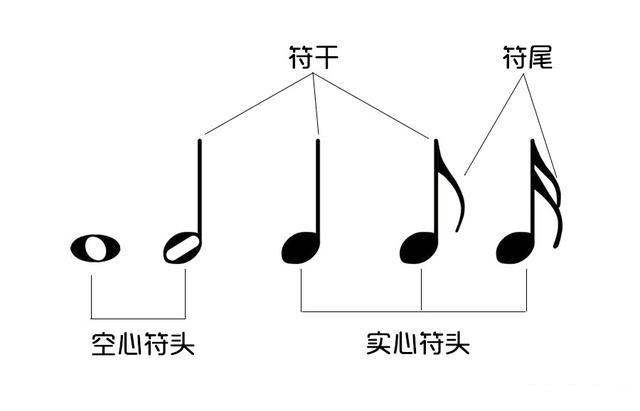 基本乐理知识 音符与休止符 知乎