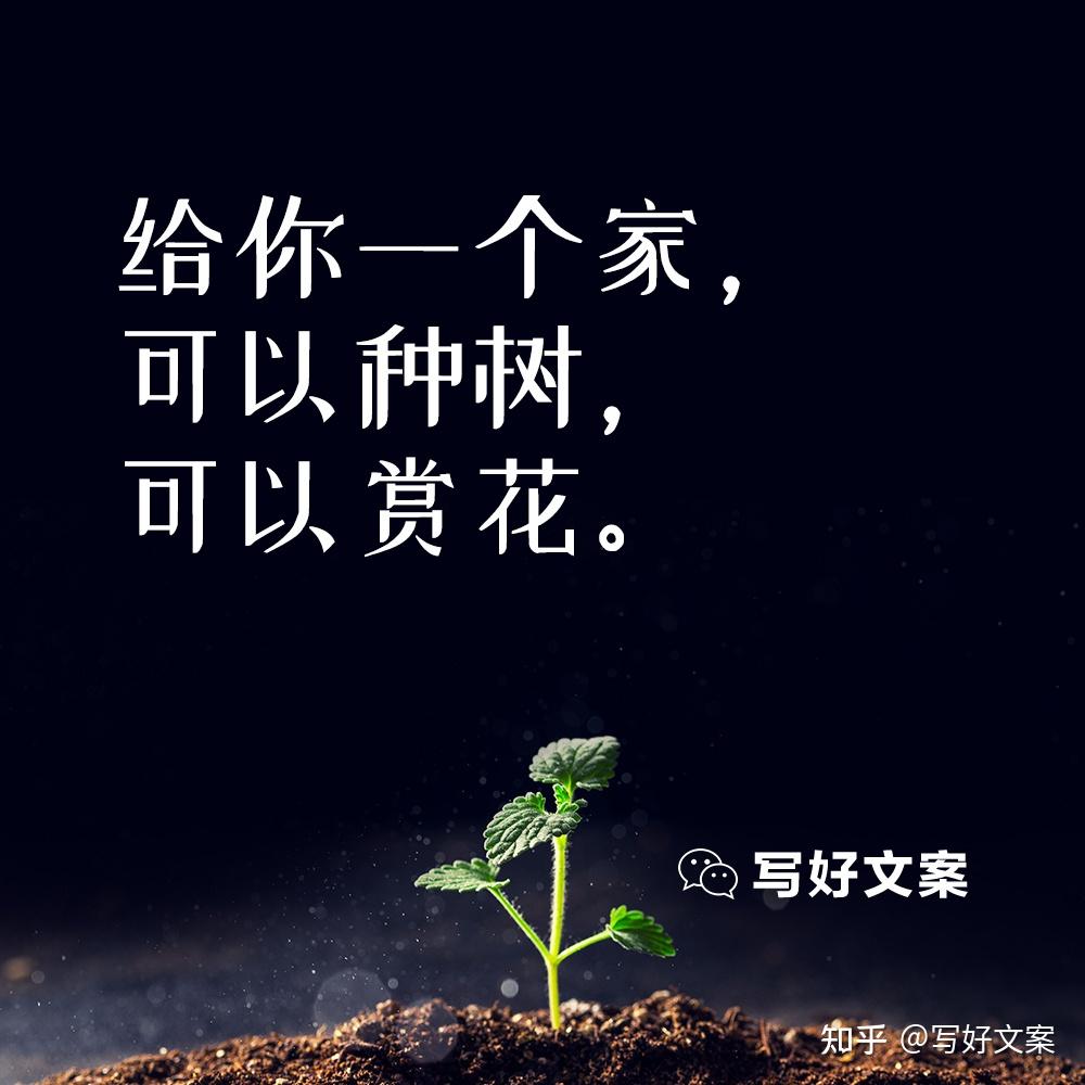 植樹節創意文案20句春風十里正植有你