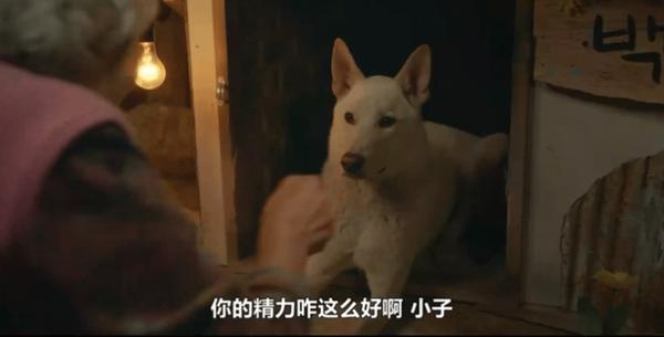 太猛了!18禁喜剧《我讨厌炸猪排》,韩国编剧又整活儿了!