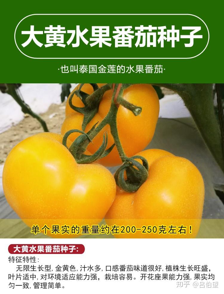 我的退休田园生活（十五）春播夏令时蔬 - 知乎