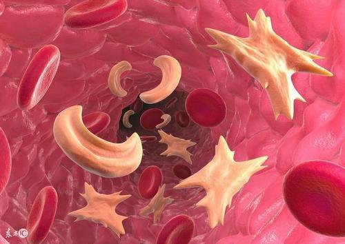 怎么知道自己的血型是阴性血 v2-4252a6eb83d4ce6d160123bb707a0a55_1440w.jpg?source=172ae18b