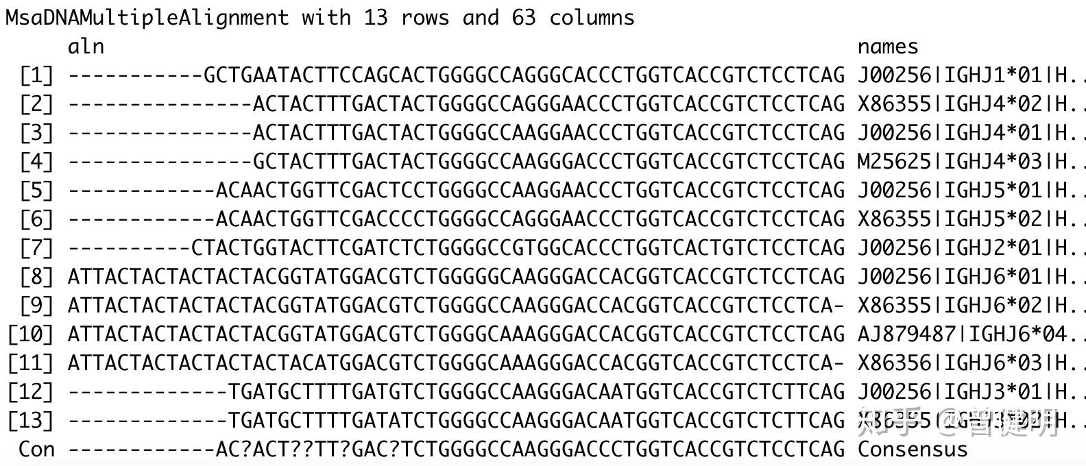 i: ighv1, ighv5 and ighv7 subgroup genesclan ii: ighv2, ighv4