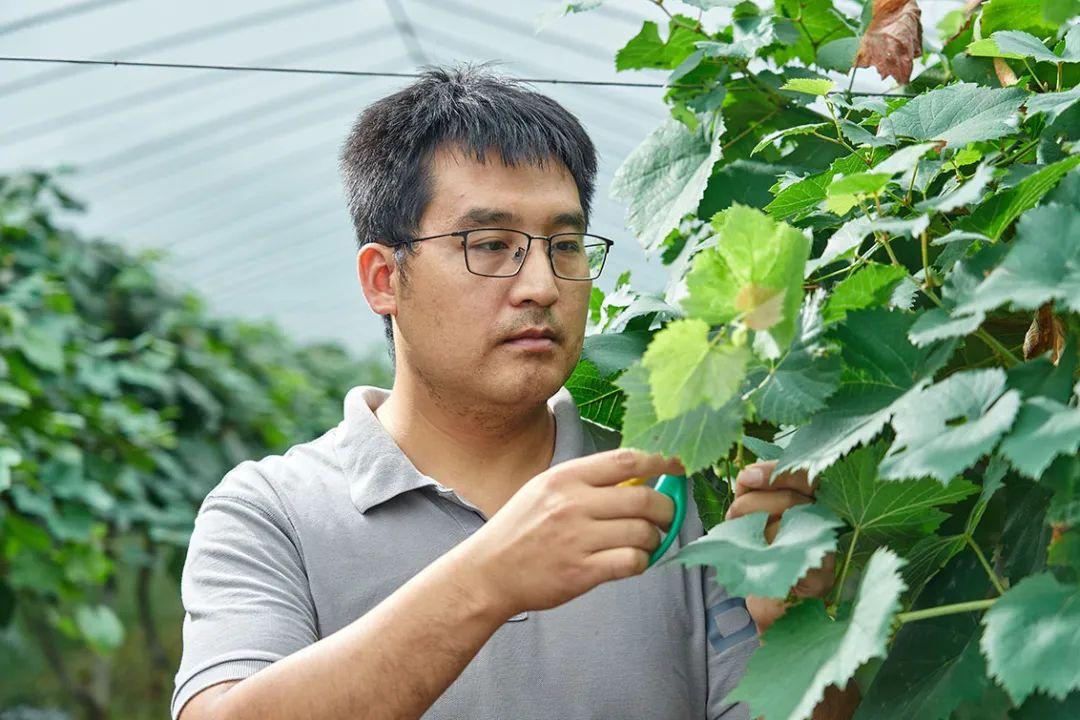 因为一部电影回乡当农民当代青年比你想的还任性