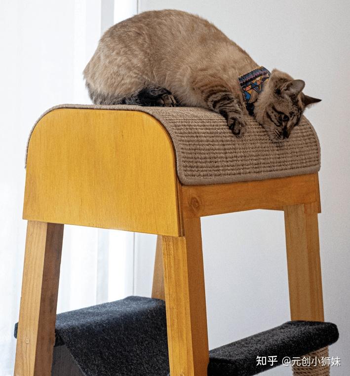 铲屎官们请注意!10款喵喵都说“nice”的猫爬架设计案例分享 - 知乎