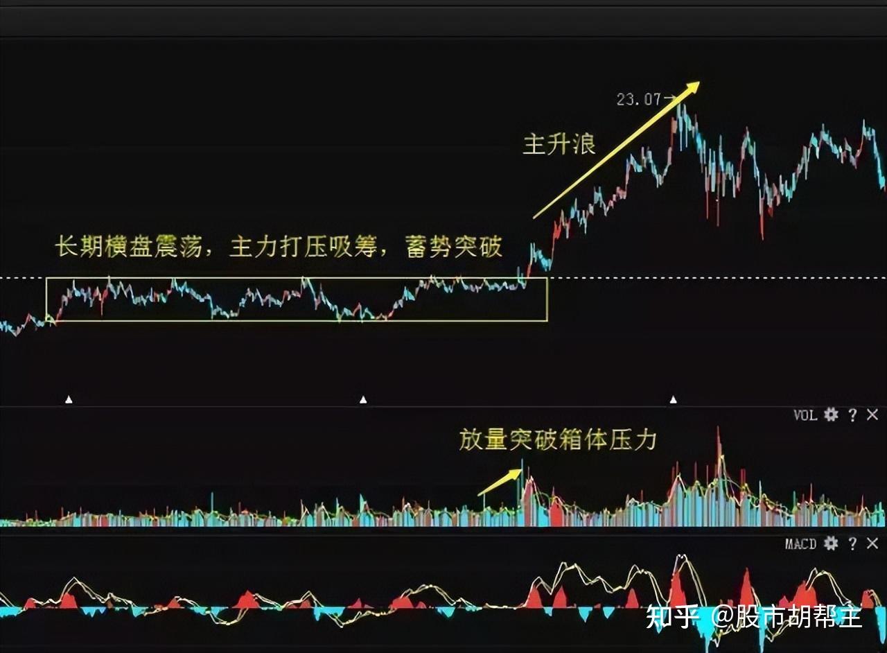 普通人能否在市场中找到真正的牛股?