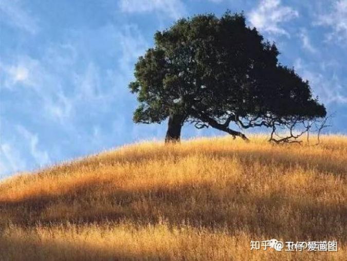设计基础专题|种植设计全攻略 - 知乎